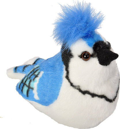 Blue Jay with Sound 5"