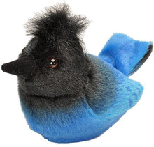 Steller's Jay with Sound 5"