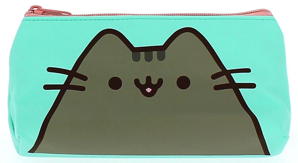 pusheen pencil pouch